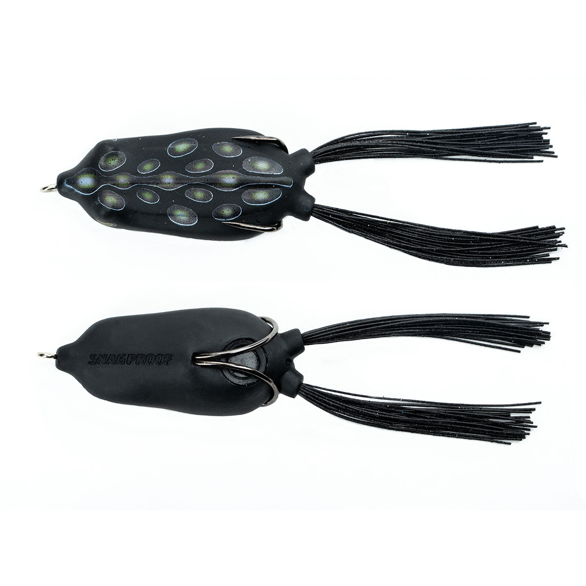 FROGS – The Bass Hole