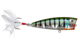 LOBINA LURES- RICO