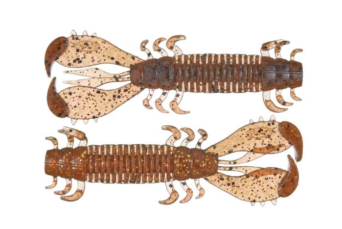 DEPS MS CRAW