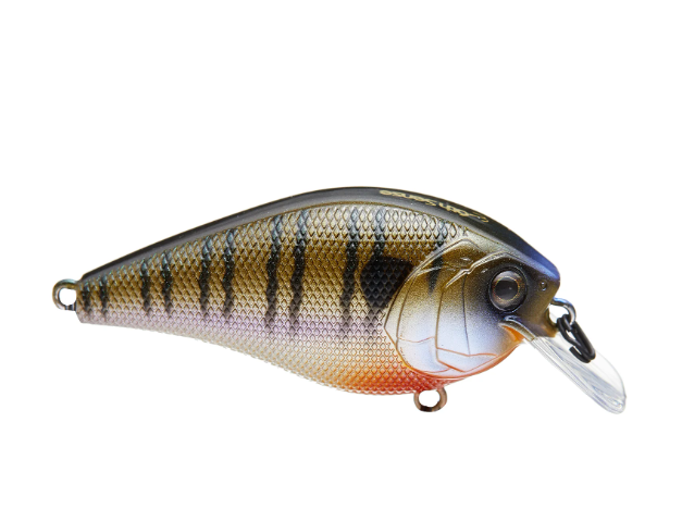 6TH SENSE CRUSH SQUAREBILL 50X CRANKBAIT