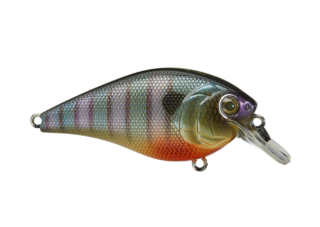 6TH SENSE CRUSH SQUAREBILL 50X CRANKBAIT