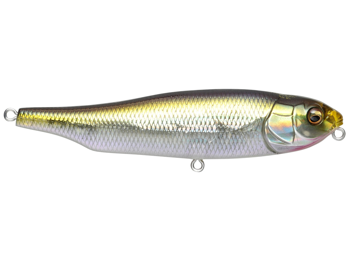 MEGABASS GIANT DOG-X