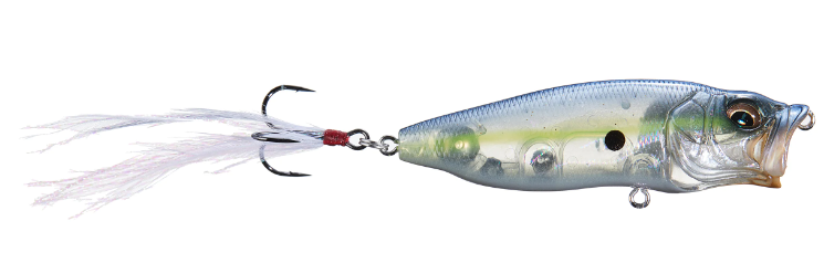 MEGABASS POPMAX