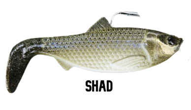 REAL PREY SWIMBAITS- MEAN-AN-NASTY PADDLETAILS – The Bass Hole