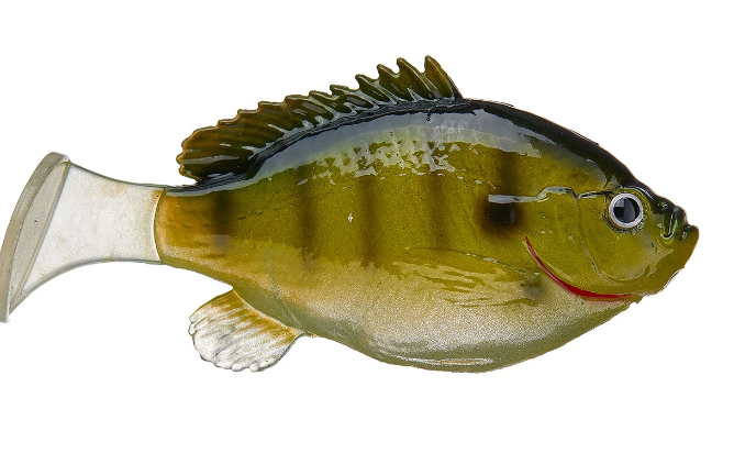 FISH LAB SOFT BIO GILL