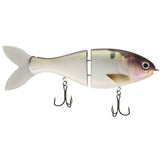 BUCCA BRAND TRICK SHAD 8"