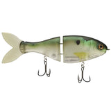 BUCCA BRAND TRICK SHAD 8"