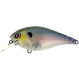 RIVER2SEA ISH MONROE BIGGIE POPPA SQUAREBILL CRANKBAIT