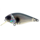 RIVER2SEA ISH MONROE BIGGIE POPPA SQUAREBILL CRANKBAIT