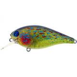 RIVER2SEA ISH MONROE BIGGIE SMALLS SQUAREBILL CRANKBAIT