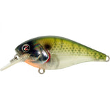 RIVER2SEA ISH MONROE BIGGIE POPPA SQUAREBILL CRANKBAIT