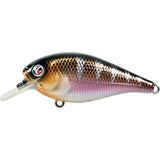 RIVER2SEA ISH MONROE BIGGIE POPPA SQUAREBILL CRANKBAIT