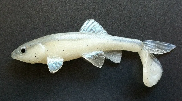 LITTLE CREEPER ALL AMERICAN TRASH FISH SWIMBAITS 2PK – The Bass Hole LITTLE CREEPER ALL AMERICAN TRASH FISH SWIMBAITS 2PK – The Bass Hole