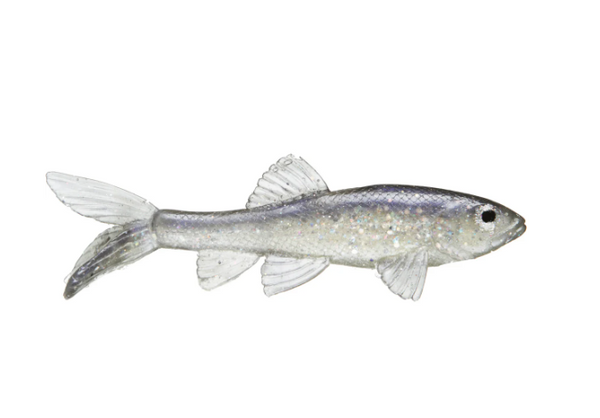 LITTLE CREEPER ALL AMERICAN TRASH FISH SWIMBAITS 2PK – The Bass Hole LITTLE CREEPER ALL AMERICAN TRASH FISH SWIMBAITS 2PK – The Bass Hole