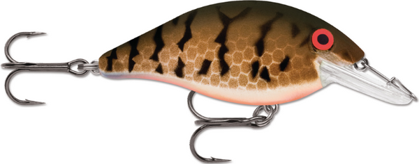 LUHR JENSEN SPEED TRAP CRANKBAITS 1/8OZ – The Bass Hole LUHR JENSEN SPEED TRAP CRANKBAITS 1/8OZ – The Bass Hole