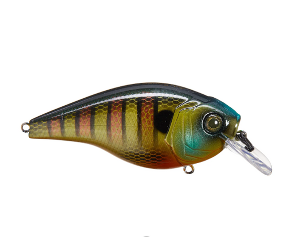 6TH SENSE CLOUD 9 SILENT MINIMAG SB CRANKBAIT – The Bass Hole