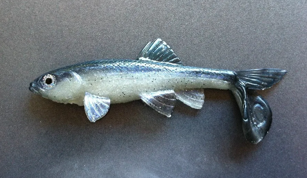 LITTLE CREEPER ALL AMERICAN TRASH FISH SWIMBAITS 2PK – The Bass Hole LITTLE CREEPER ALL AMERICAN TRASH FISH SWIMBAITS 2PK – The Bass Hole