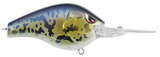 SPRO FAT PAPA 55 CRANKBAITS