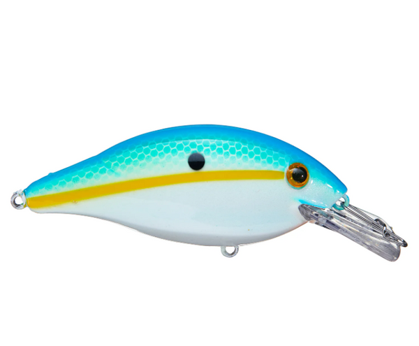 LUHR JENSEN SPEED TRAP CRANKBAITS 1/4OZ – The Bass Hole