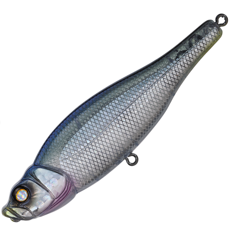 WHIPLASH FACTORY SPITTIN' WIRE TOPWATER WALKING BAIT – The Bass Hole