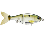 BUCCA BRAND TRICK SHAD 6"