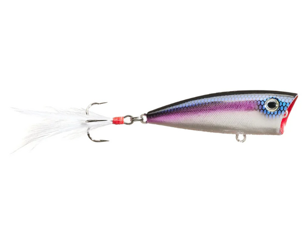 DON IOVINO'S SPLASH-IT POPPERS