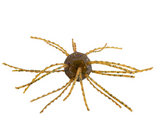 STRIKE KING TUMBLEWEED SALTED