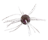 STRIKE KING TUMBLEWEED SALTED