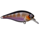 RIVER2SEA ISH MONROE BIGGIE POPPA SQUAREBILL CRANKBAIT