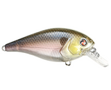 RIVER2SEA ISH MONROE BIGGIE POPPA SQUAREBILL CRANKBAIT