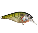 RIVER2SEA ISH MONROE BIGGIE POPPA SQUAREBILL CRANKBAIT