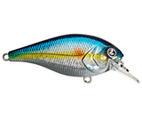 RIVER2SEA ISH MONROE BIGGIE POPPA SQUAREBILL CRANKBAIT