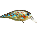 RIVER2SEA ISH MONROE BIGGIE POPPA SQUAREBILL CRANKBAIT