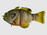 SYNCH FISHING ARTISAN GILL SWIMBAIT