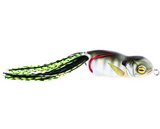 SCUM FROG LAUNCH XS FROG
