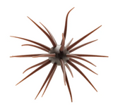 HIDEUP COIKE FULLCAST CREATURE BAIT