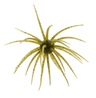 HIDEUP COIKE 17MM CREATURE BAIT – The Bass Hole