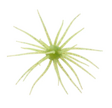 HIDEUP COIKE 17MM CREATURE BAIT