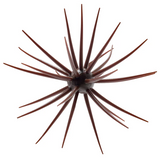 HIDEUP COIKE 13MM CREATURE BAIT