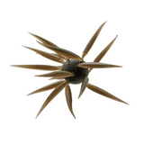 HIDEUP COIKE FISH L CREATURE BAIT