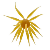 HIDEUP COIKE FISH L CREATURE BAIT