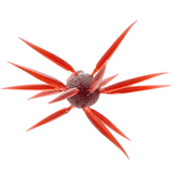 HIDEUP COIKE FISH L CREATURE BAIT