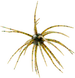HIDEUP COIKE 17MM CREATURE BAIT