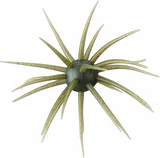 HIDEUP COIKE 13MM CREATURE BAIT