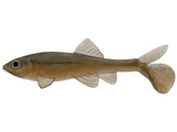 LITTLE CREEPER ALL AMERICAN TRASH FISH SWIMBAITS 2PK