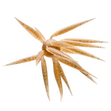 HIDEUP COIKE FISH M ELASTOMER CREATURE BAIT