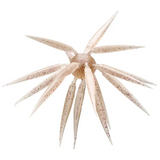 HIDEUP COIKE FISH M ELASTOMER CREATURE BAIT
