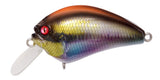 MEGABASS IXI BLOWLY SHALLOW CRANKBAIT