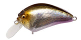 MEGABASS IXI BLOWLY SHALLOW CRANKBAIT