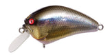 MEGABASS IXI BLOWLY SHALLOW CRANKBAIT